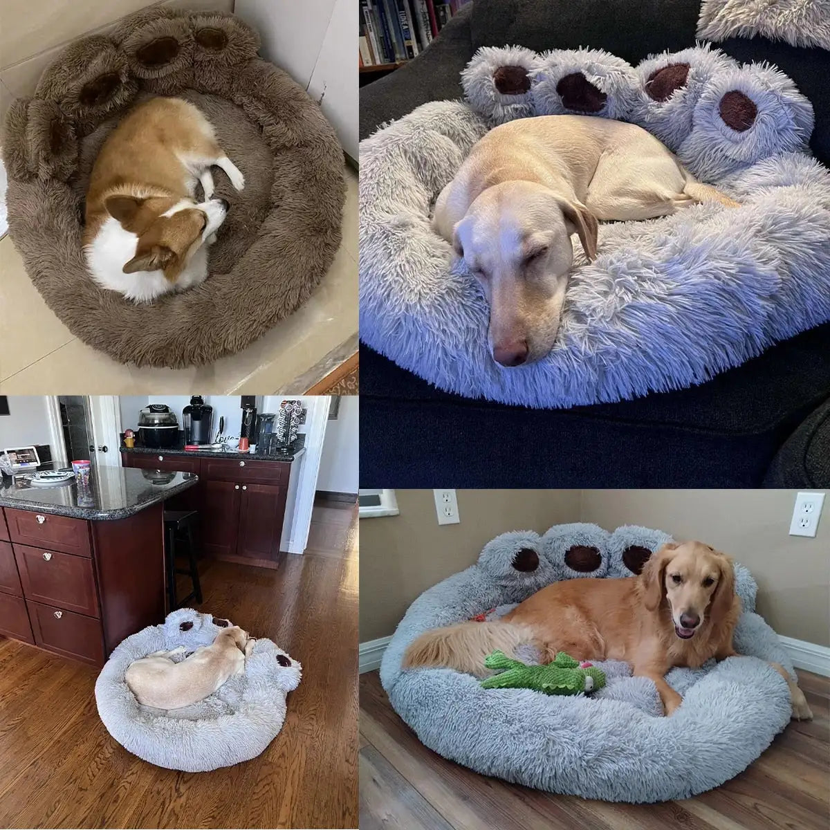 Paw Pet Bed